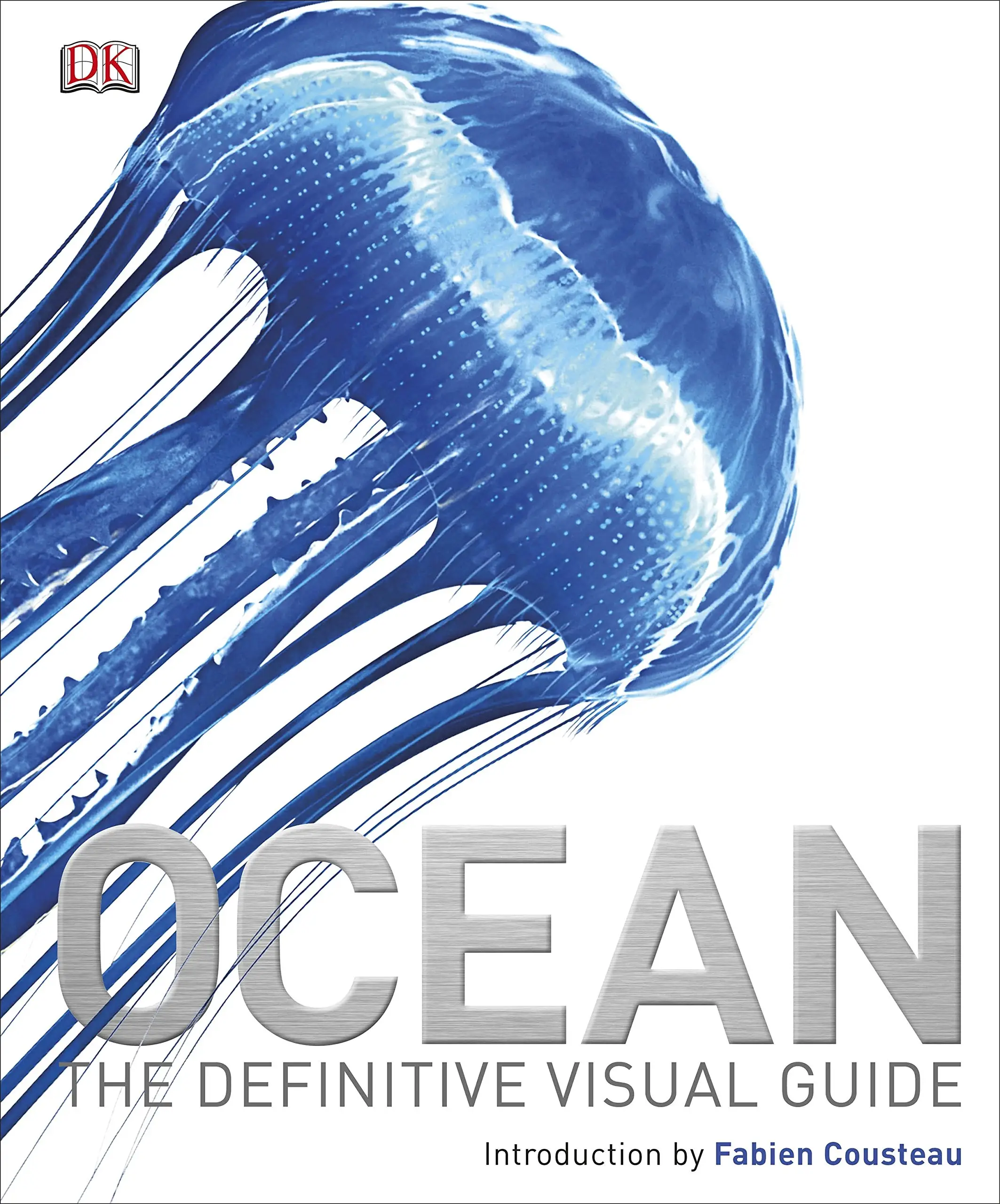 The Definitive Visual Guide: Ocean