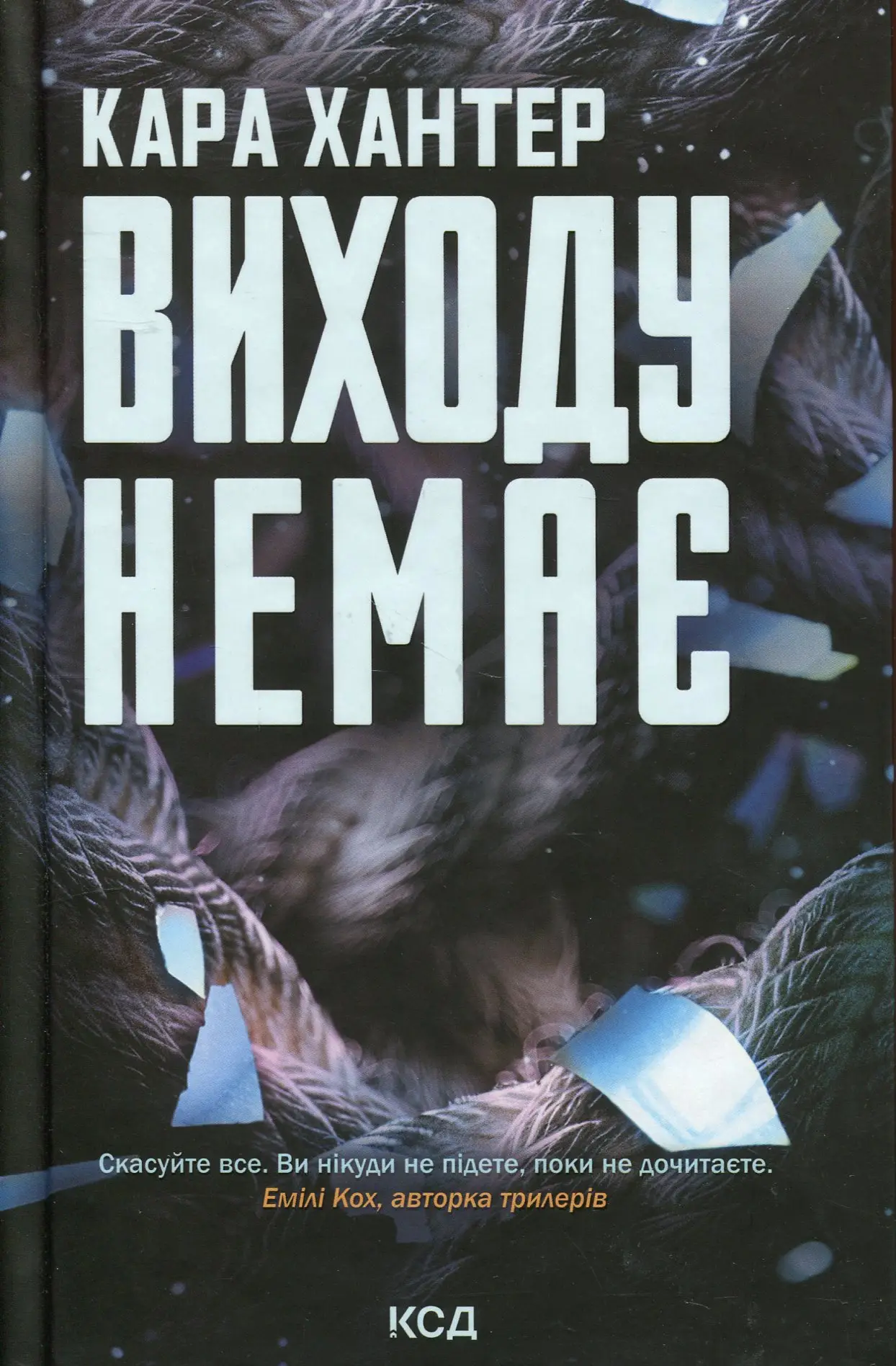 Детектив Адам Фоулі. Книга 03. Виходу немає