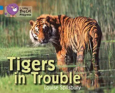 Big Cat Progress 4/12 Tigers in Trouble