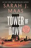 Throne of Glass (Book 6): Tower of Dawn - 1