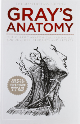 Фото - Gray's Anatomy