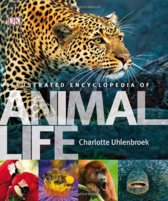 Фото - Illustrated Encyclopedia of Animal Life