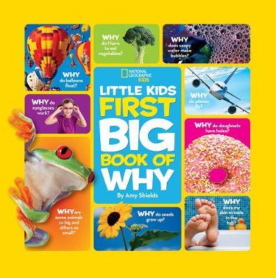 Фото - Little Kids First Big Book of Why : All Your Questions Answered Plus Games, Recipes, Crafts & More!