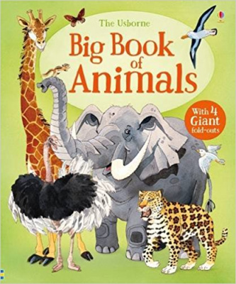 Фото - Big Book of Big Animals