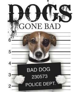 Фото - Dogs Gone Bad