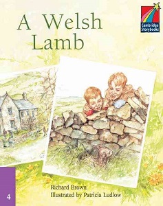 Фото - CSB 4 A Welsh Lamb