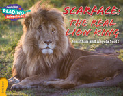 Фото - CRA Scarface: The Real Lion King Gold Band