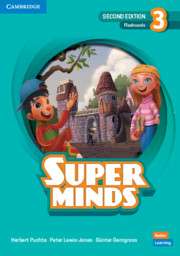 Фото - Super Minds  2nd Edition 3 Flashcards British English