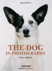 Фото - The Dog in Photography 1839-Today