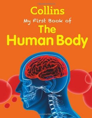 Фото - My First book of the Human Body New Edition