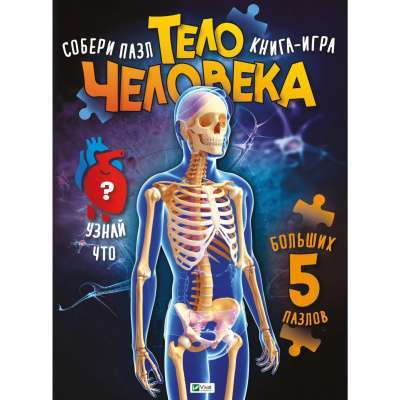 Фото - Тело человека