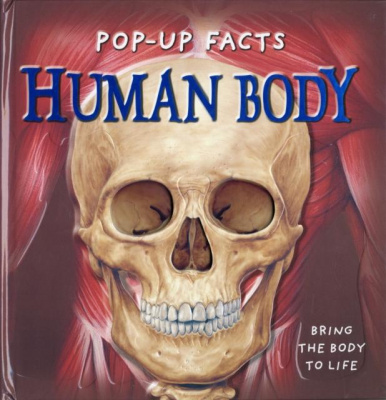 Фото - Pop-Up Facts: Human Body