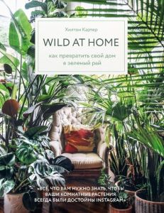 Фото - Wild at home. Как превратить свой дом в зеленый рай