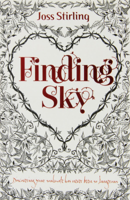 Фото - Finding Sky [Paperback]
