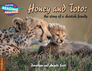Фото - CRA Honey and Toto: The Story of a Cheetah Family 1 Pathfinders