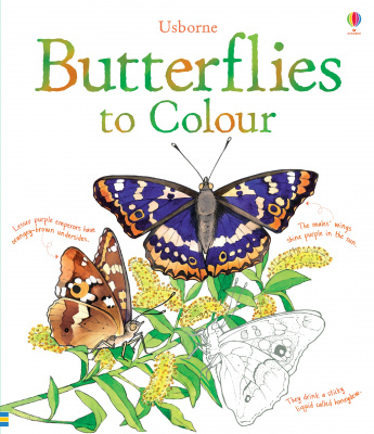 Фото - Butterflies Colouring Book