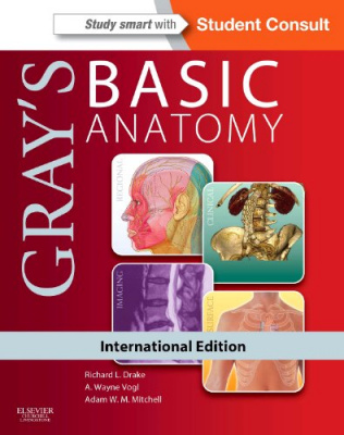 Фото - Gray's Basisc Anatomy, International Edition