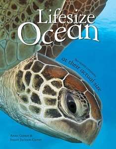 Фото - Lifesize Ocean