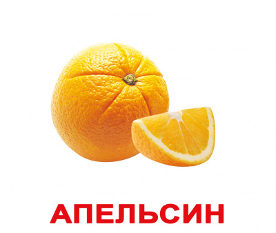Фото - Русские большие карточки: Фрукты (ламинированные)