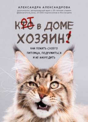 Фото - Кот в доме хозяин! Как понять своего питомца, подружиться и не навредить