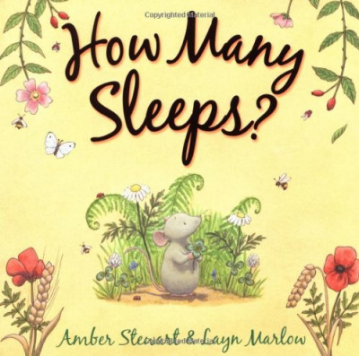 Фото - How Many Sleeps [Paperback]