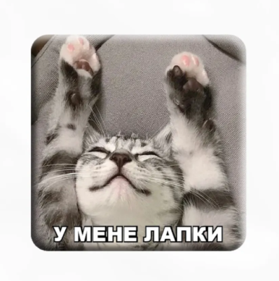 Фото - 3D стікер 