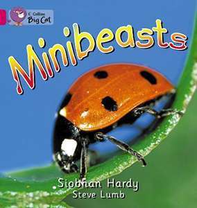 Фото - Big Cat  1A Minibeasts. Workbook.