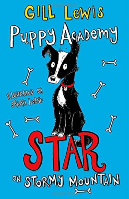 Фото - Puppy Academy: Star on Stormy Mountain [Paperback]
