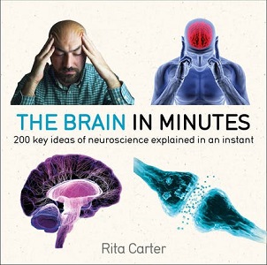 Фото - The Brain in Minutes
