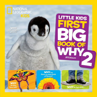 Фото - Little Kids First Big Book of Why 2