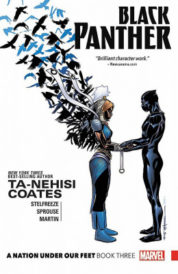 Фото - Black Panther Book3: A Nation Under Our Feet