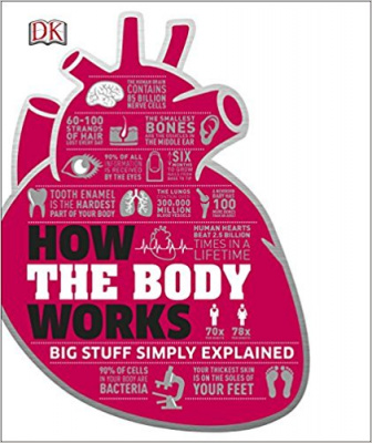Фото - How the Body Works