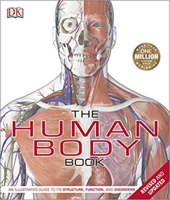 Фото - The Human Body Book