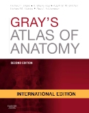 Фото - Gray's Atlas of Anatomy International Edition, 2nd Edition