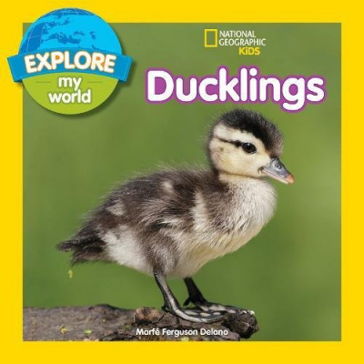 Фото - Explore My World: Ducklings