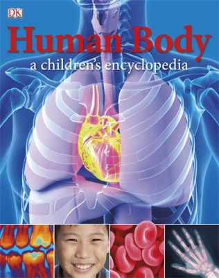 Фото - Human Body A Children's Encyclopedia