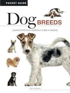 Фото - Dog Breeds: Characteristics, Breeds, Care, Origins