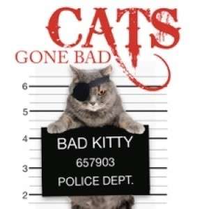 Фото - Cats Gone Bad