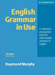 Фото - English Grammar in Use 3rd Edition Book without answers