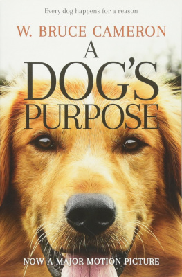 Фото - Dog's Purpose,A [Paperback]