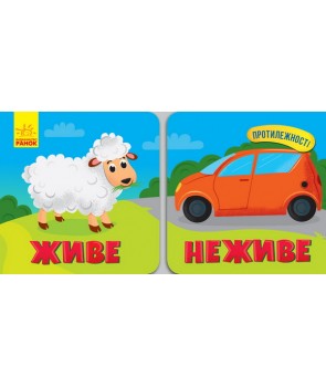 Фото - Протилежності : Живе Неживе
