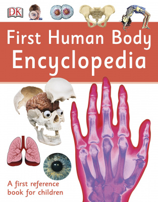 Фото - First Human Body Encyclopedia