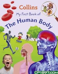 Фото - My First book of the Human Body