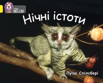 Фото - Нічні істоти