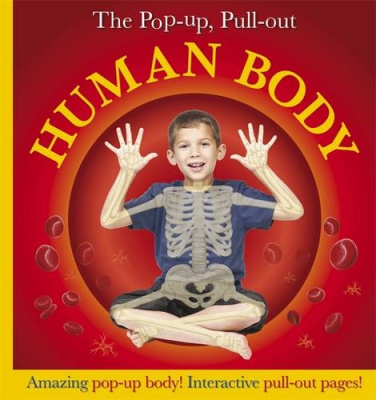 Фото - Pop-Up, Pull-Out Human Body