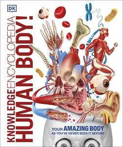 Фото - Knowledge Encyclopedia Human Body!