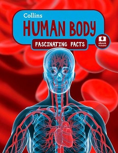 Фото - Fascinating Facts: Human Body
