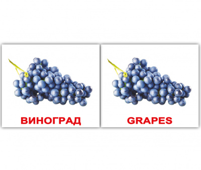 Фото - Мини-40: Фрукты Fruit (рус-англ) с ламинацией