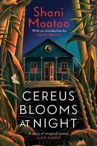 Фото - Vintage Classics: Cereus Blooms at Night