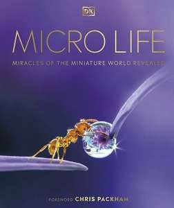 Фото - Micro Life: Miracles of the Miniature World Revealed